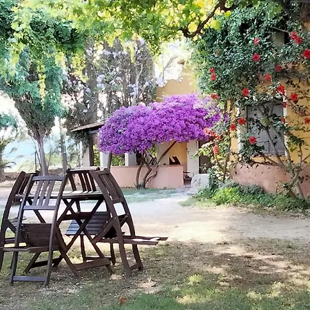 Holiday home Mas De Bernis - Estiu