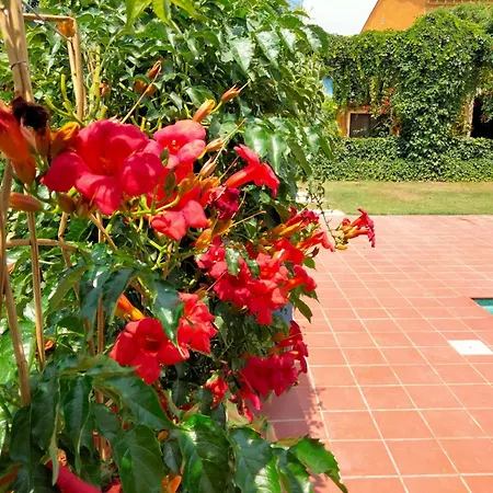 Holiday home Mas De Bernis - Estiu *